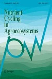 Phosphorus in smallholder farming systems of sub-Saharan Africa: implications for agricultural intensification