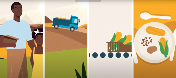 cartoon showing farmers and food value chain