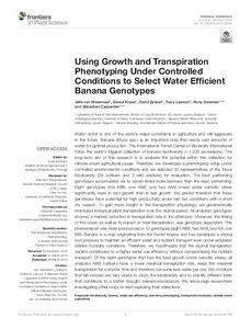 Using growth and transpiration phenotyping under controlled conditions to select water efficient banana genotypes