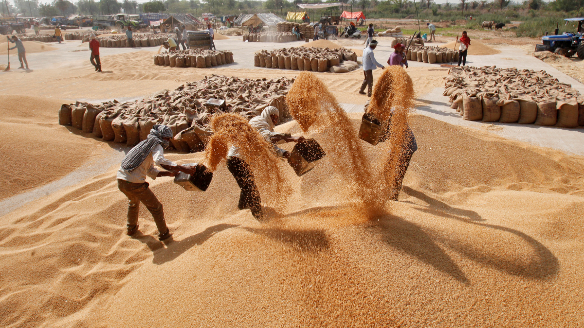 https://storage.googleapis.com/cgiarorg/2023/02/agriculture-reuters-.jpg