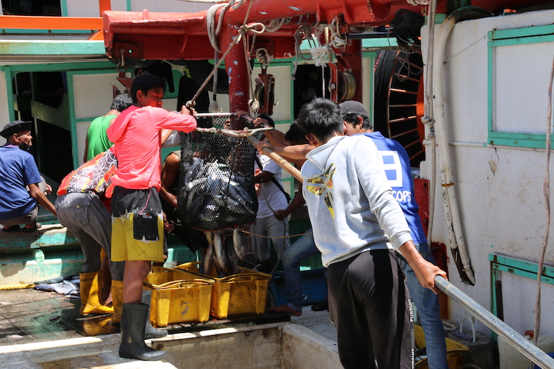 An irony of the current global economic system is that it is depleting the very natural capital on which it depends. Such self-destruction is most obvious in the overfishing of seas, lakes and rivers by an industry reliant on healthy fish stocks. Photo by Sean Lee Kuan Shern