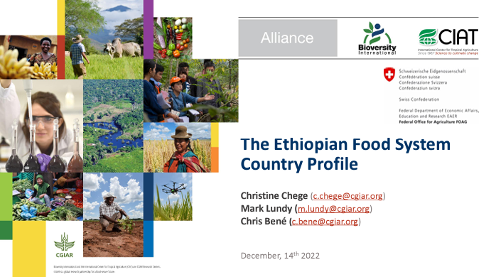 The Ethiopian Food System Country Profile