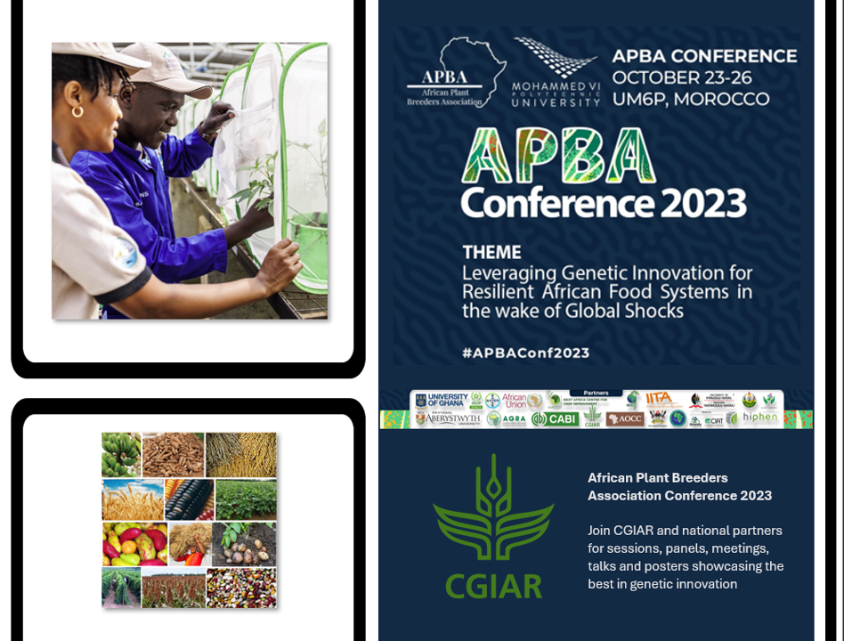 3rd African Plant Breeders Association (APBA) Conference CGIAR