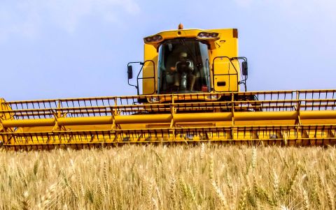 Brazil wheat harvester