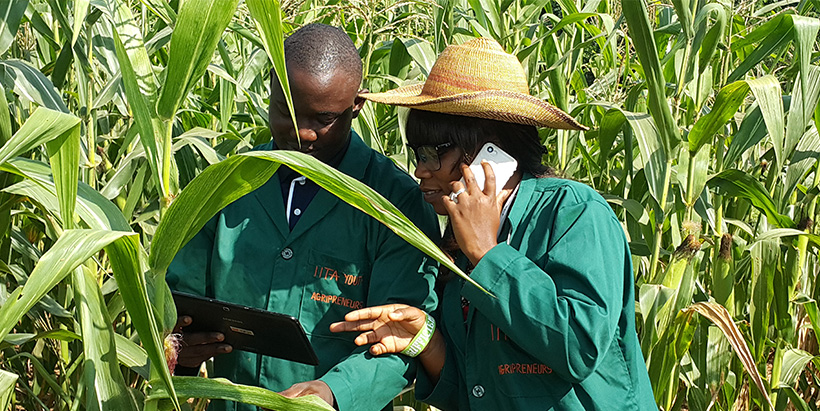 Youth agripreneurs are driving impact in the agricultural sector through technology deployment.