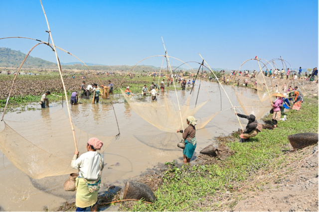 Women represent up to 60 percent of gatherers. Photo: SK Dubey