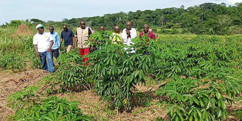IITA Scientist Dr Kuate Fotso (right) on a field visit with ICRA DG ai and his team in April.