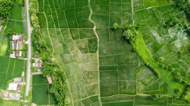 aerial view of irrigated lands in nepal