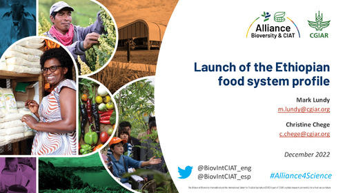 Launch_Ethiopian_FoodSystemProfile