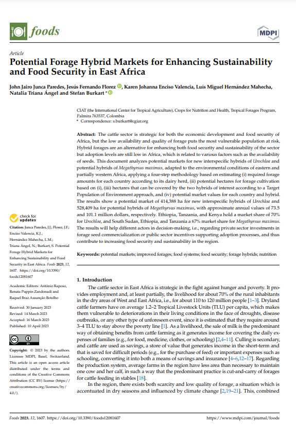 Potential-forage-hybrid-markets-for-enhancing-sustainability-and-food-security-in-East-Africa.