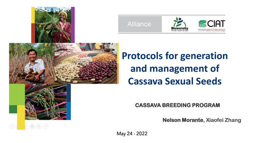 Protocols-for-generation-and-management-of-cassava-sexual-seeds