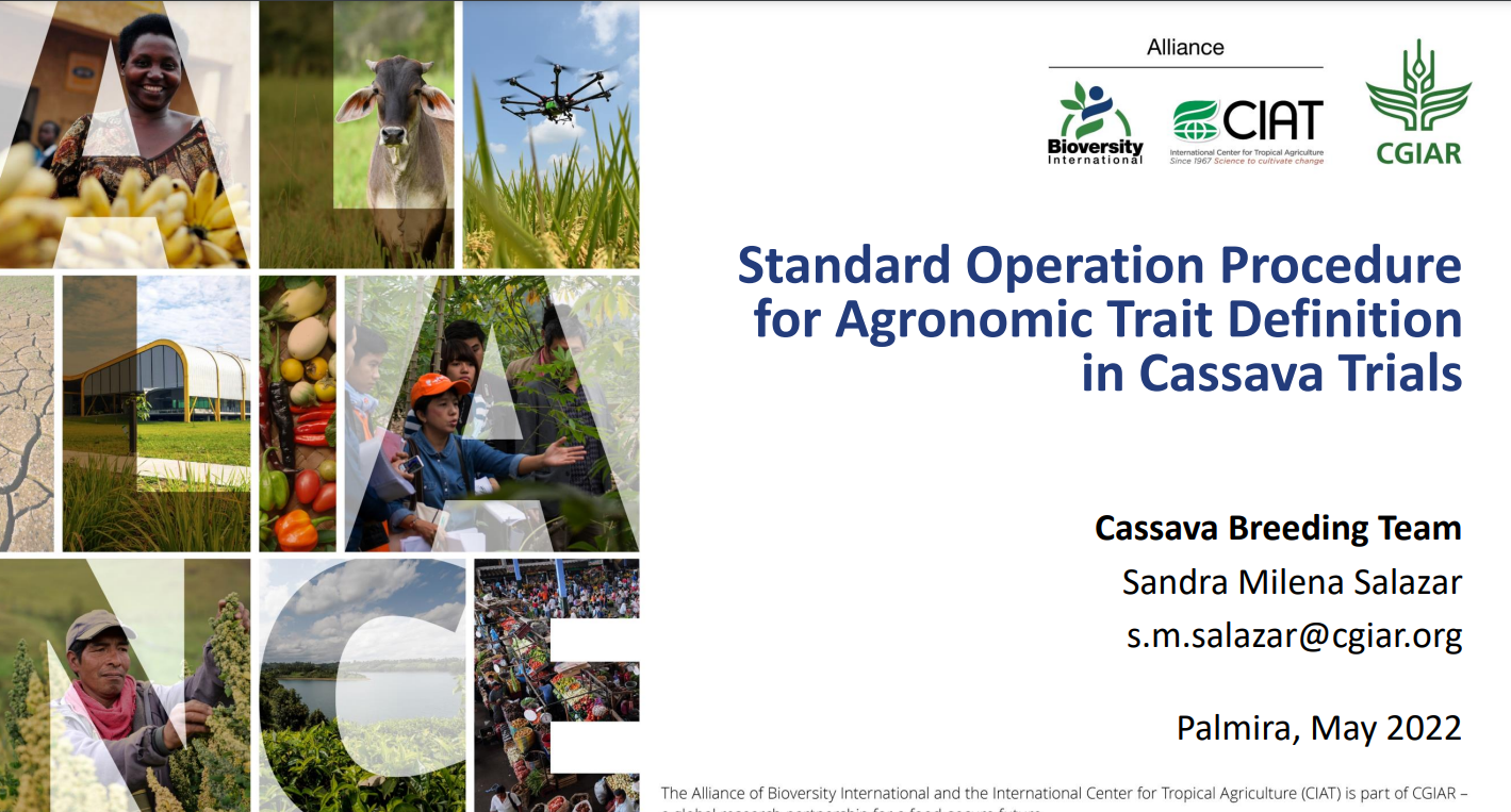 Standard operation procedure for agronomic trait definition in Cassava trials.