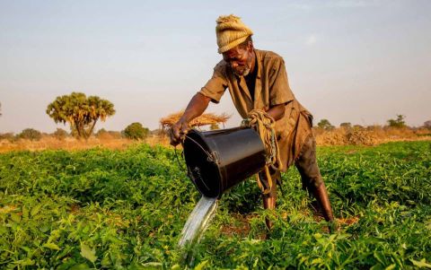 A farmer watering his crops in Namong, Tone district, Togo