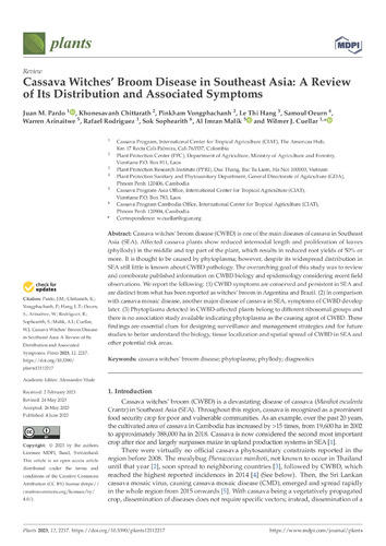 Cassava Witches Broom Disease in Southeast Asia A review of its distribution and associated symptoms