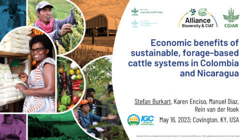 Economic-benefits-of-sustainable-forage-based-cattle-systems-in-Colombia-and-Nicaragua.