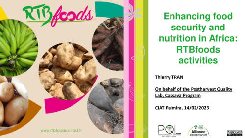 Enhancing Food Security Nutrition Africa RTB foods Activities