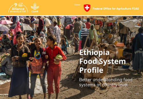 Ethiopia-Food-System-Profile