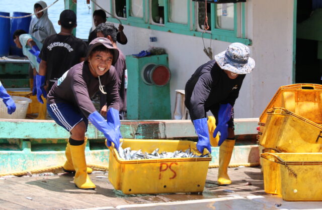 Fish landing at Pasar Besar Kota Kinabalu Photo: Sean Lee Kuan Shern