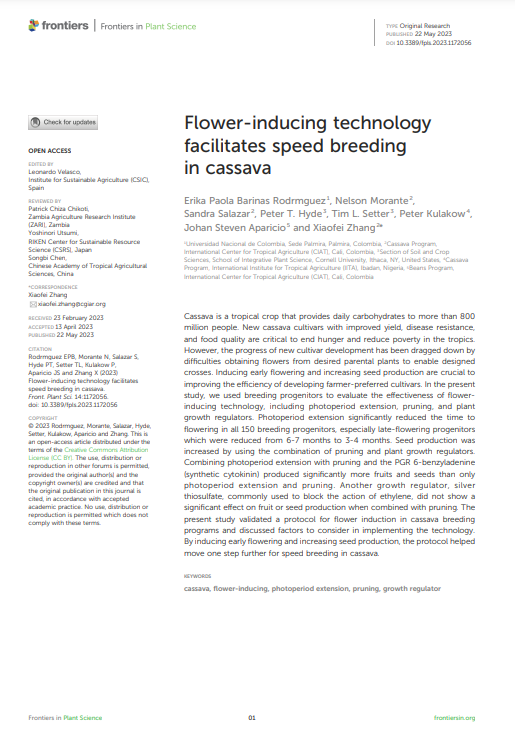 Flower-inducing technology facilitates speed breeding in cassava