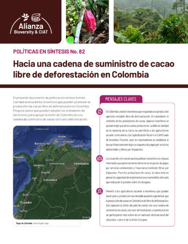 Hacia-una-cadena-de-suministro-de-cacao-libre-de-deforestacion-en-Colombia.