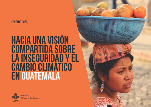 Hacia-una-vision-compartida-sobre-la-inseguridad-y-el-cambio-climatico-en-Guatemala-Memoria-de-Taller.