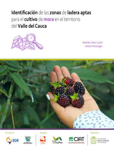 Identificacion-de-las-zonas-de-ladera-aptas-para-el-cultivo-de-mora-en-el-territorio-del-Valle-del-Cauca