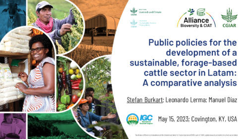 Public-policies-for-the-development-of-a-sustainable-forage-based-cattle-sector-in-Latam-A-comparative-analysis