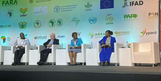 Cross section of panelists during the EiA side event.