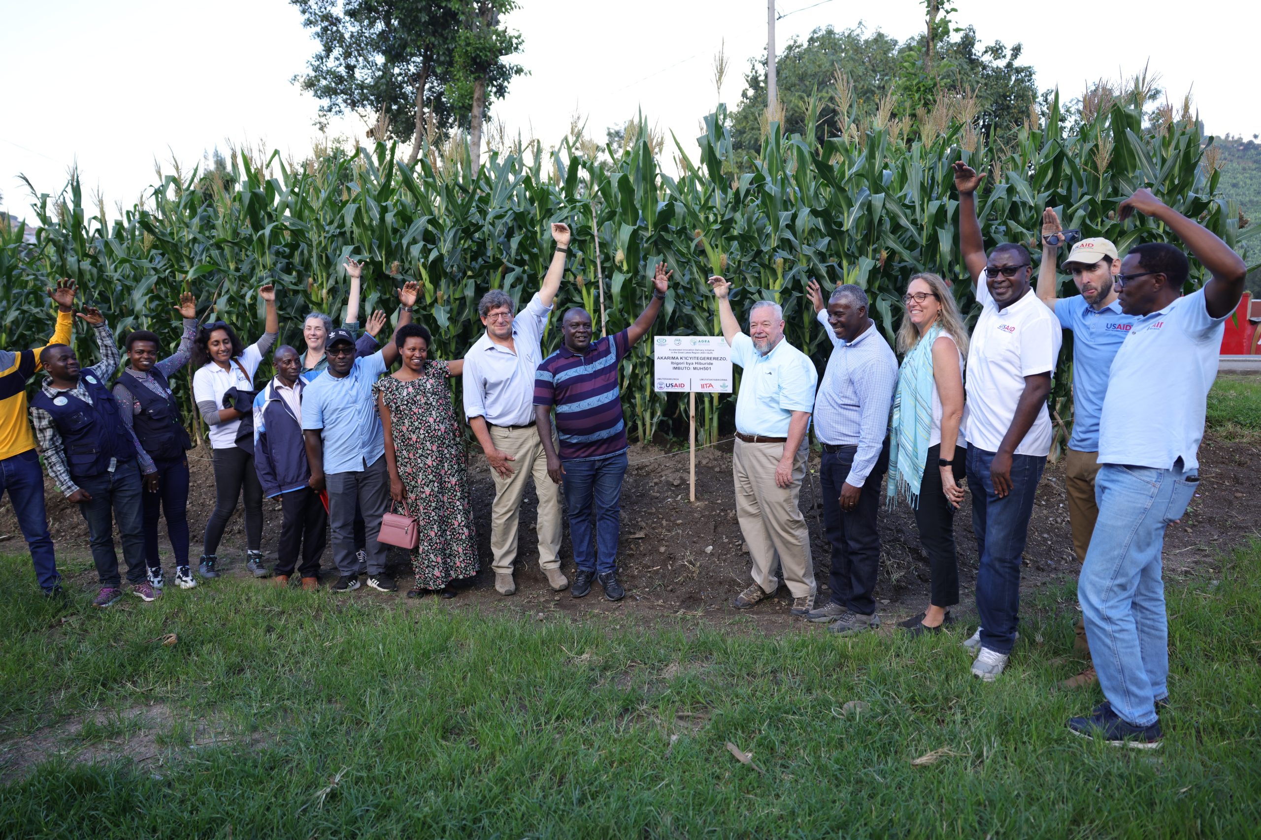 The delegation toured the hybrid maize plot, variety MUH501, owned by Kilimo General Business seed company, in Rubavu District.