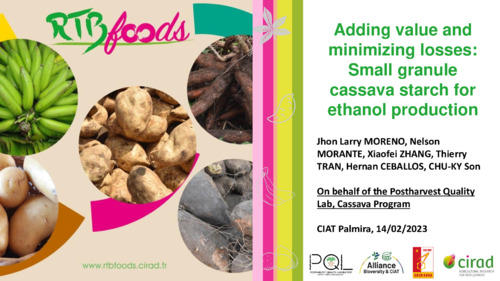 Small-granule-cassava-starch-for-ethanol-production