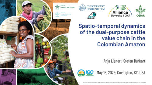 Spatio-temporal-dynamics-of-the-dual-purpose-cattle-value-chain-in-the-Colombian-Amazon