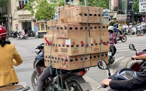 shrimp transport midstream value chain