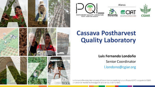 Cassava Postharvest Quality Laboratory
