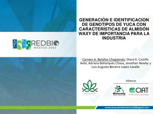 Generación e identificacion de genotipos de Yuca con característcas de almidón waxy de importancia para la industria