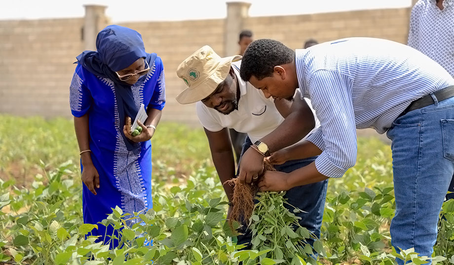 The-ENABLE-TAAT-team-observing-a-soybean-field-during-a-visit-to-Zam-Zam-University-of-Technology