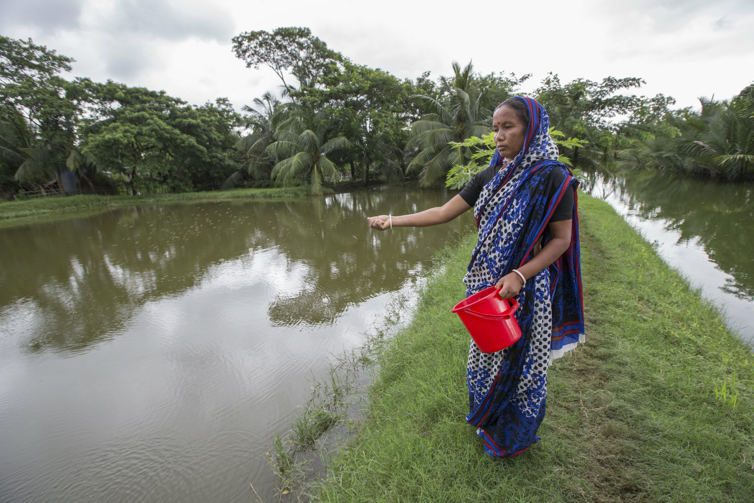 Photo credit: Woman feeding fish in Khulna, Bangladesh (WorldFish/Yousuf Tushar)