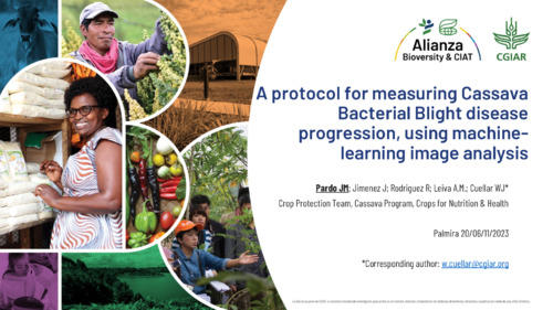 A-protocol-for-measuring-Cassava-Bacterial-Blight-disease-progression-using-machine-learning-image-analysis