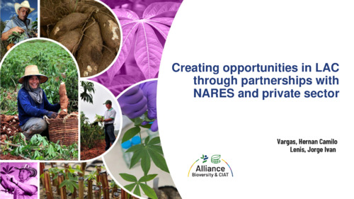 Creating opportunities in LAC through partnerships with NARES and private sector