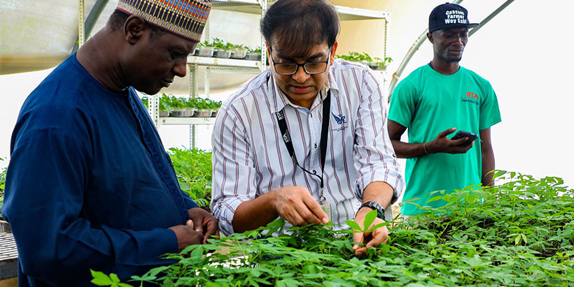NASC Director of Seed Certification and Quality Control, Mallam Ubandoma Hudu with IITA Head of Virology and Germplasm Health Lava Kumar in the SAH Lab.