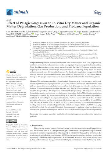 Effect of pelagic Sargassum on in vitro dry matter and organic matter degradation, gas production, and protozoa population