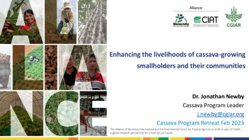 Enhancing the livelihoods of cassava-growing smallholders and their communities