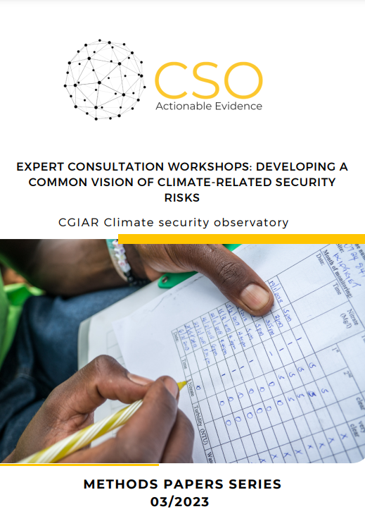 Expert consultation workshops - Developing a common vision of climate-related security risks
