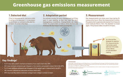 Greenhouse Gas Measurements