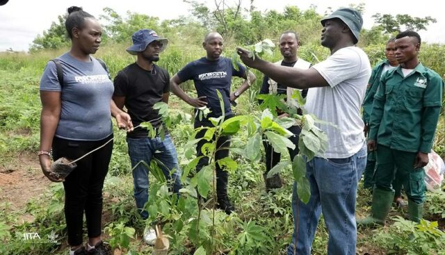 IITA-Forest-Center-Field-Supervisor-describing-the-qualities-of-a-tree-to-the-Donor-representatives.