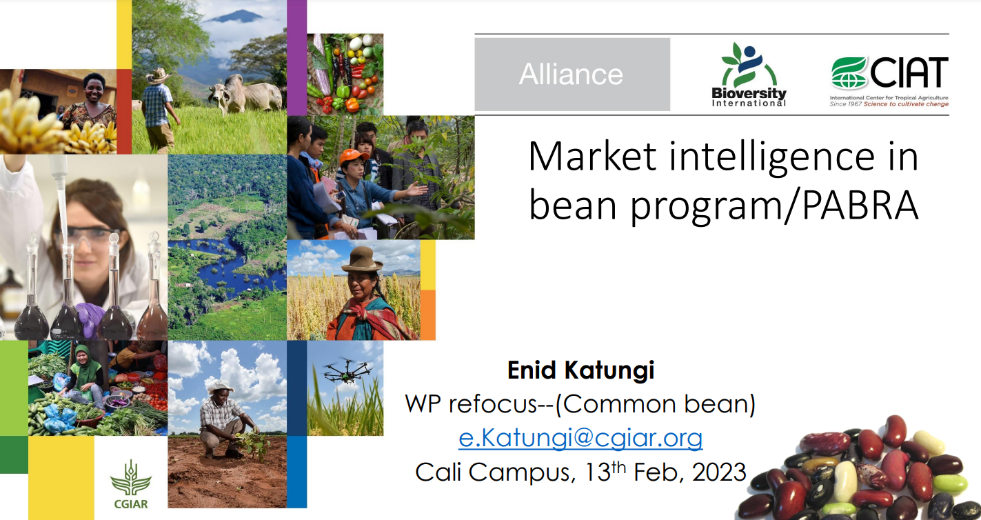 Market intelligence in bean program - PABRA