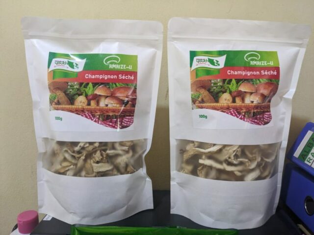 The “Maison du Champignon” enterprise producing fresh mushrooms at YABIC Zamengoue