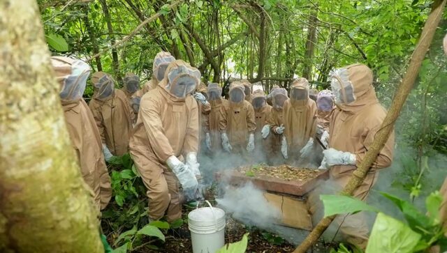 Participants-of-the-beekeeping-training-during-a-beehive-smoking-practical