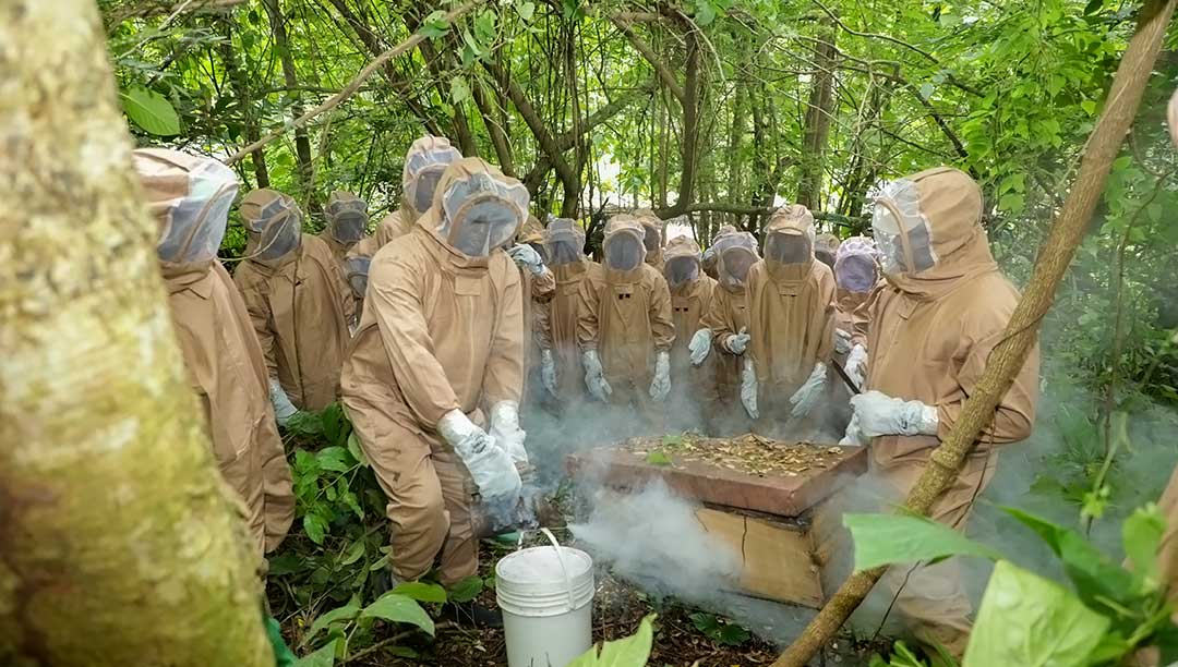 II. The Importance of Beekeeping in Sustainable Agriculture