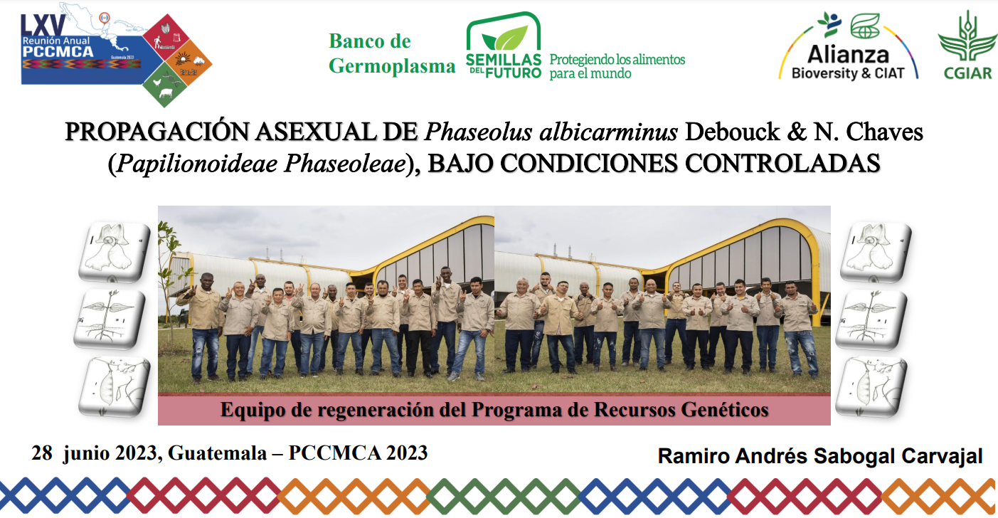 Propagacion-asexual-de-Phaseolus-albicarminus-Debouk-N.-Chaves-Papilionoideae-Phaseoleae-bajo-condiciones-controladas