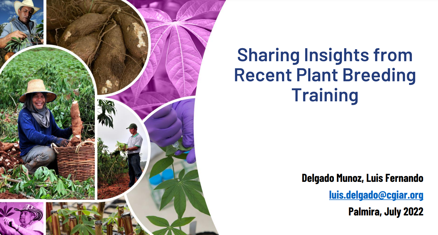 Sharing insights from recent plant breeding training